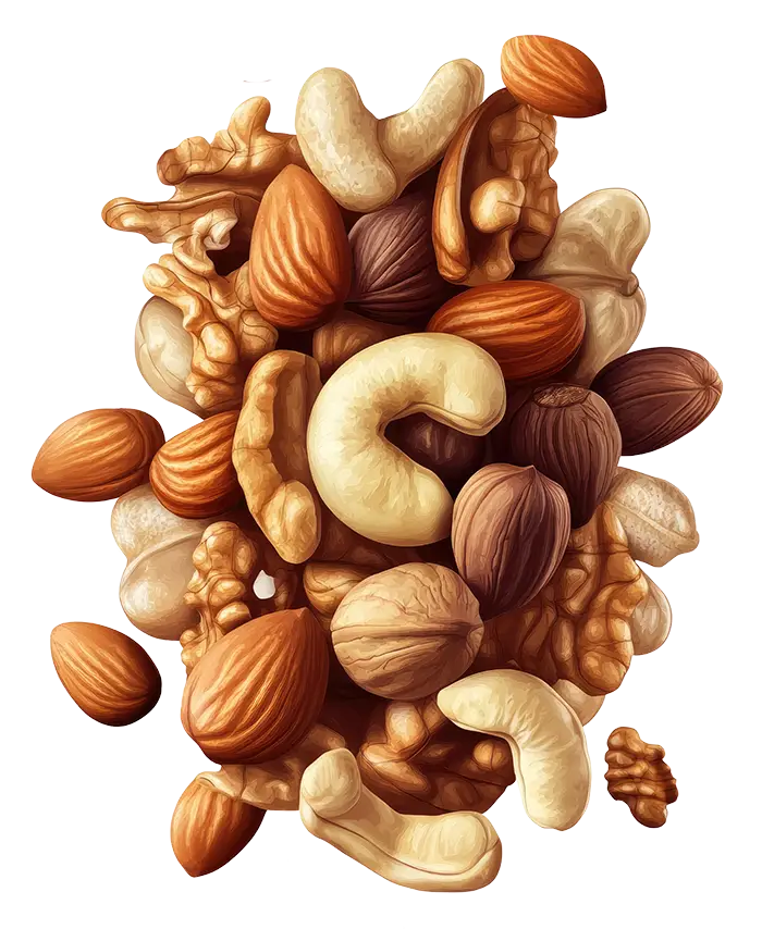 Ποικιλία από ολόκληρα αμύγδαλα, κάσιους, καρύδια και φουντούκια συγκεντρωμένα σε λευκό φόντο.