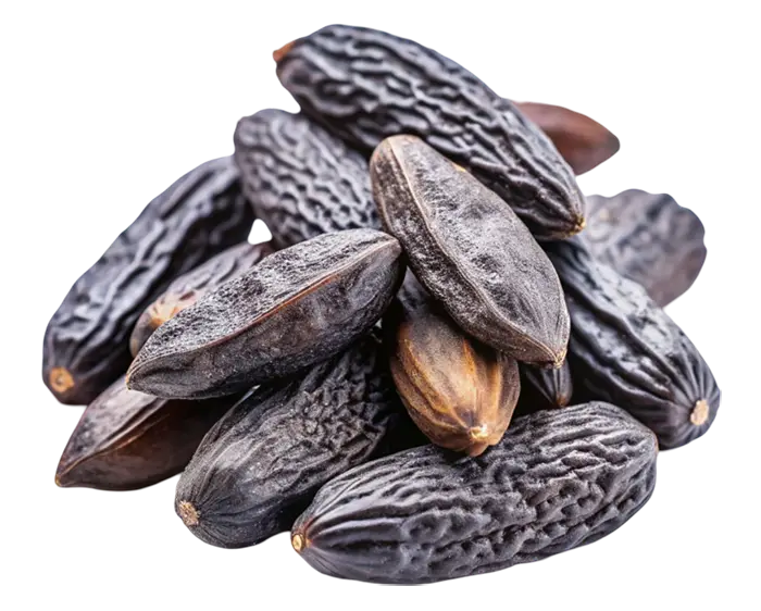 Σωρός από αποξηραμένους καρπούς tonka bean με σκούρα ανάγλυφη φλούδα σε λευκό φόντο.