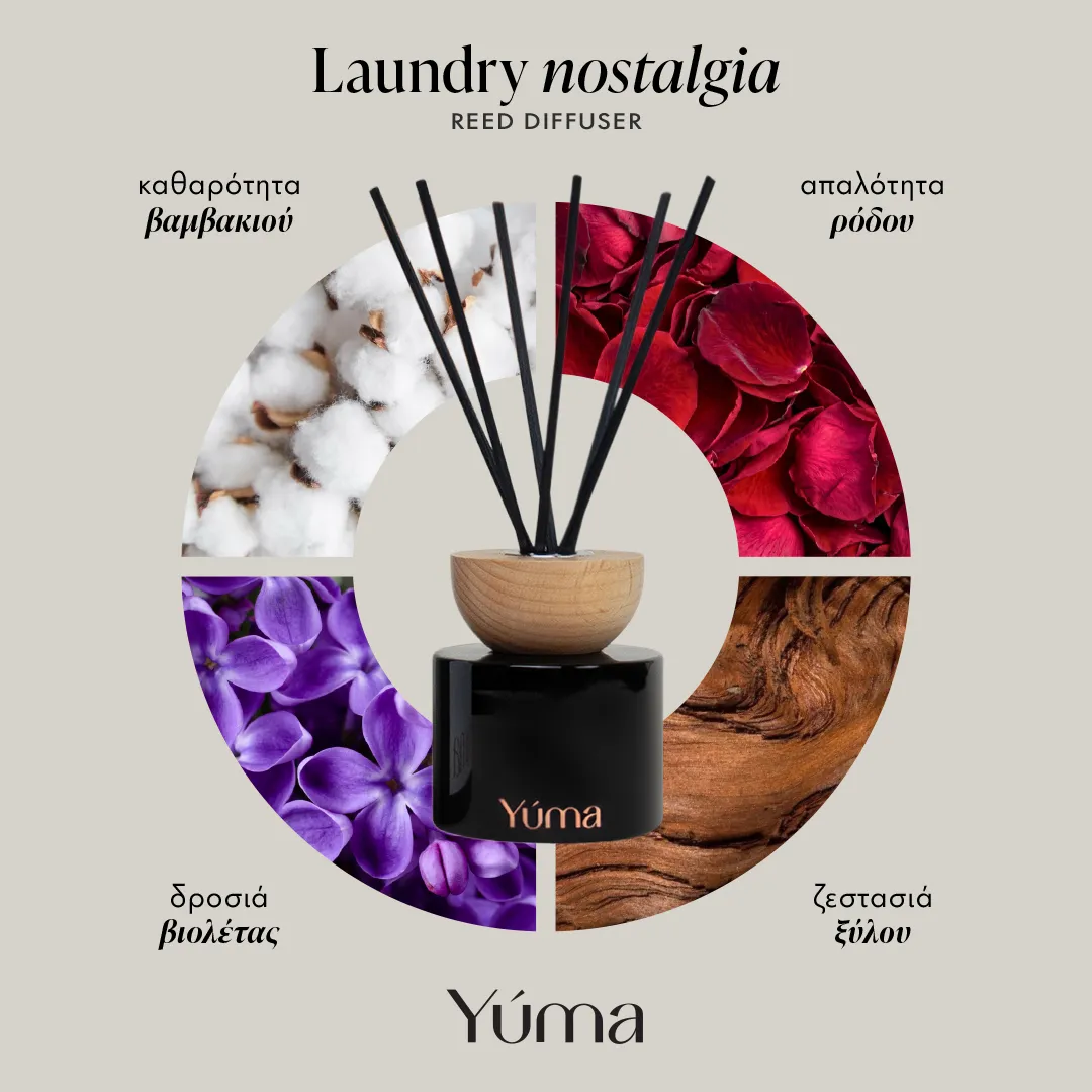 Laundry Nostalgia Αρωματικό Χώρου με Στικ 100 ml