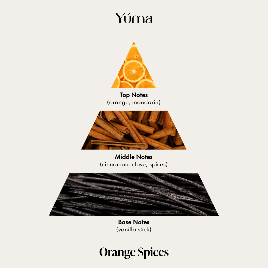 Orange Spices Αρωματικό Χώρου με Στικ 100 ml