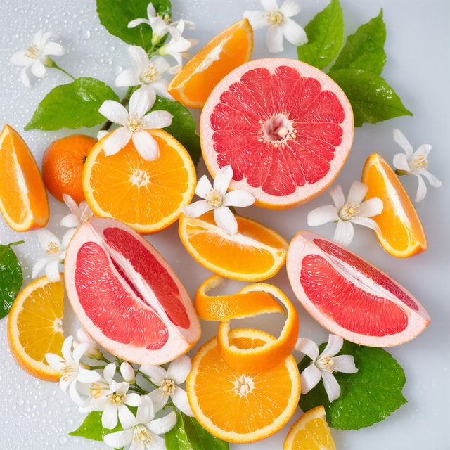 Hesperides Jasmine
