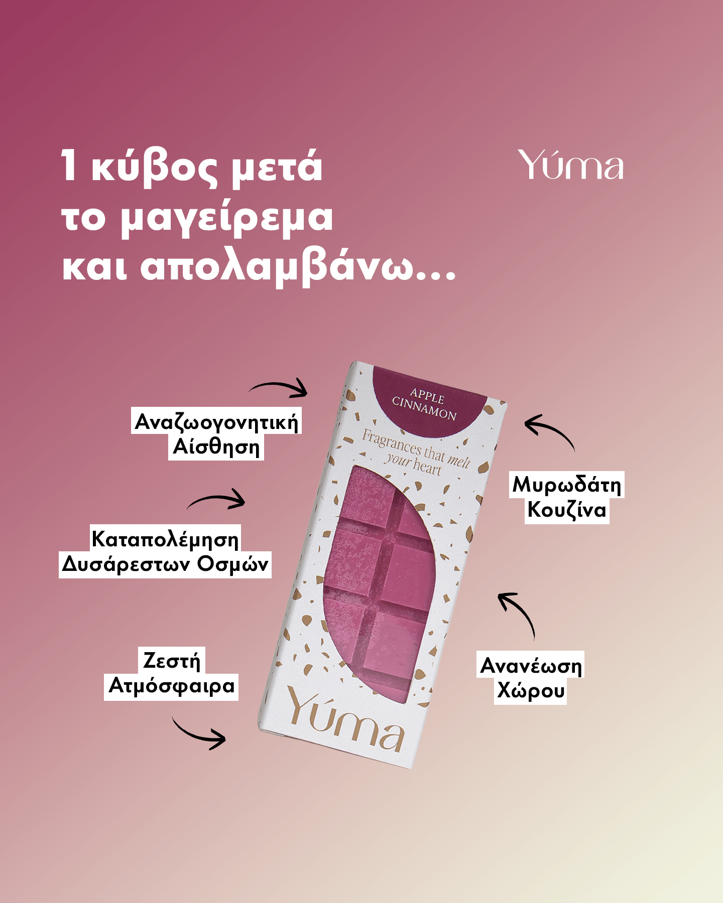 Wax Melts - Apple Cinnamon - Αρωματικοί Κύβοι με Άρωμα Μήλου