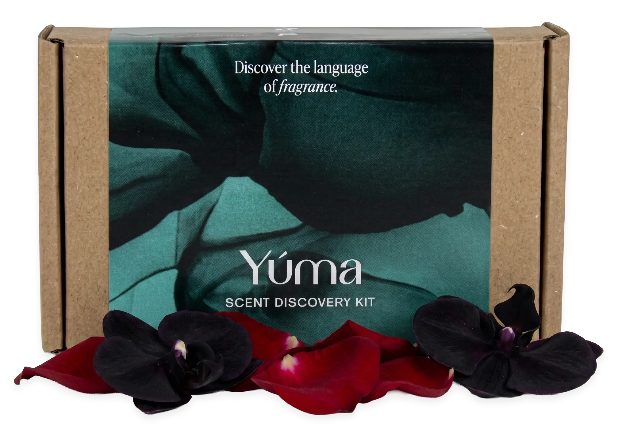 Το κουτί Scent Discovery Kit της YUMA, πλαισιωμένο από σκούρες ορχιδέες και πέταλα τριαντάφυλλου Το κουτί Scent Discovery Kit της YUMA, πλαισιωμένο από σκούρες ορχιδέες και πέταλα τριαντάφυλλου
